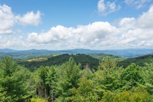 DJI_0111