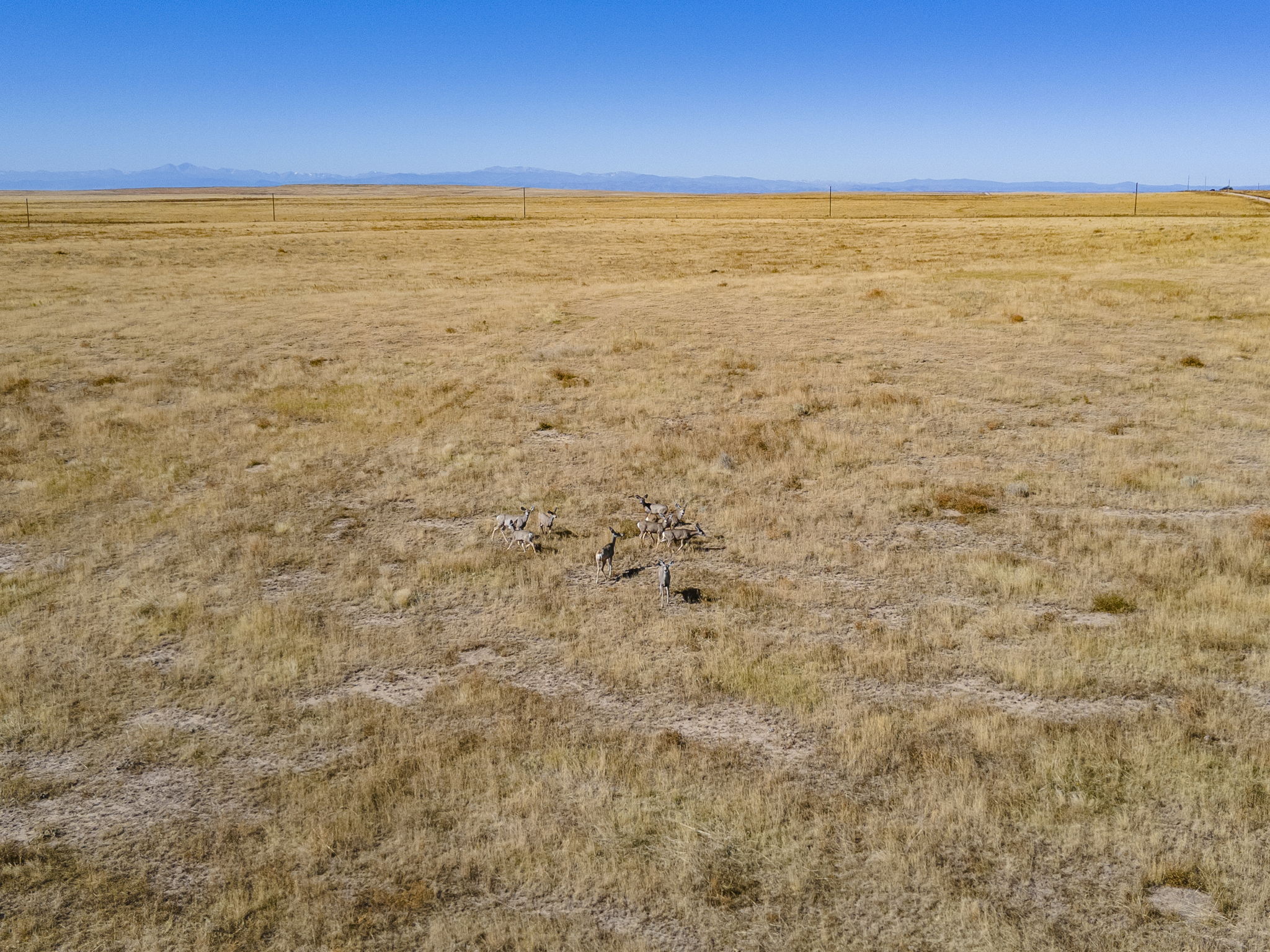  Photo 48