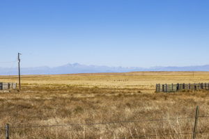  Photo 50
