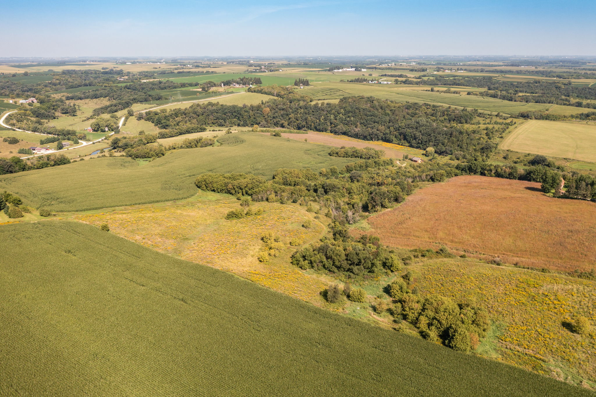 42-Aerial View