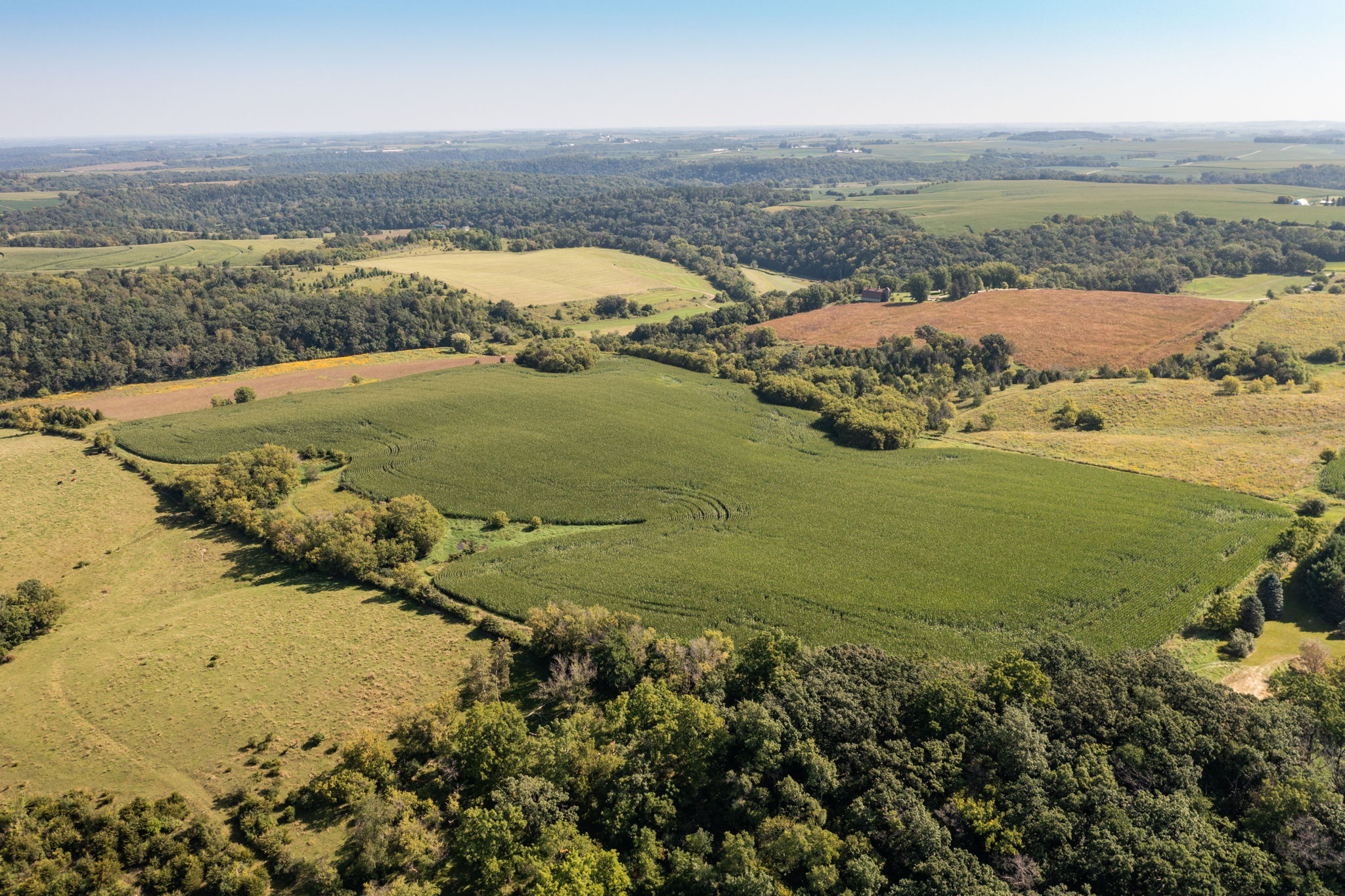 43-Aerial View