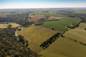 44-Aerial View