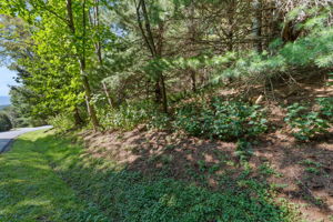  Photo 0