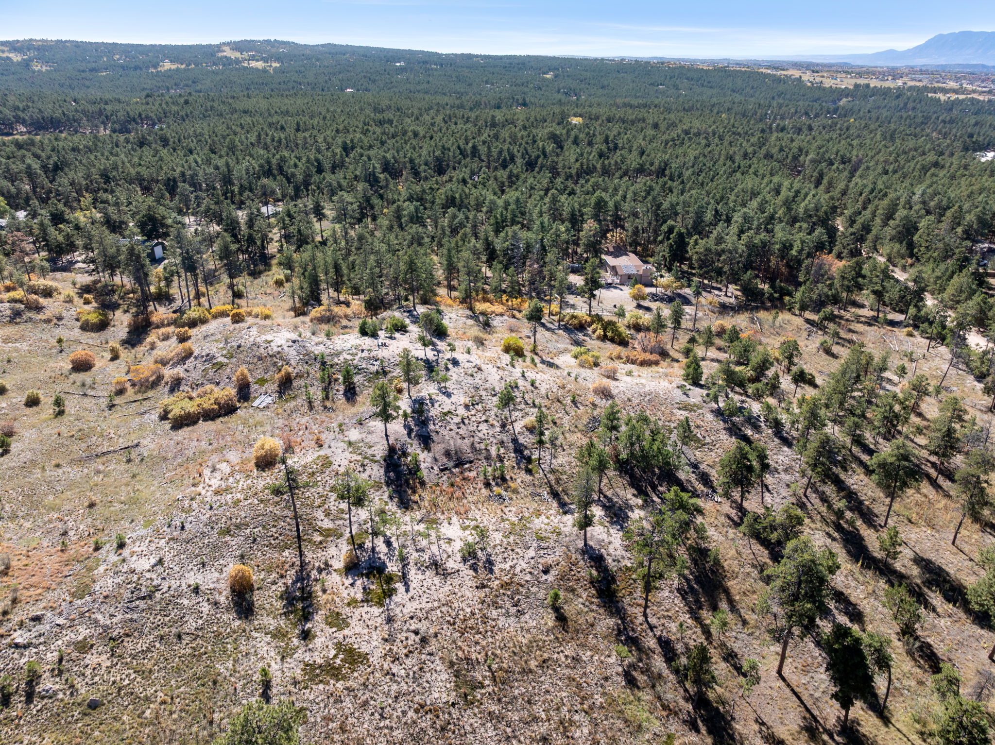 DJI_0918