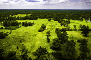  Photo 50