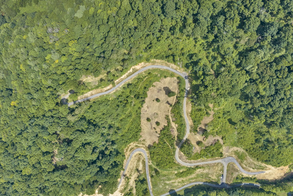 Lot 3