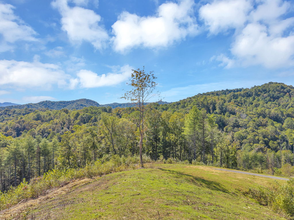 Lot 6