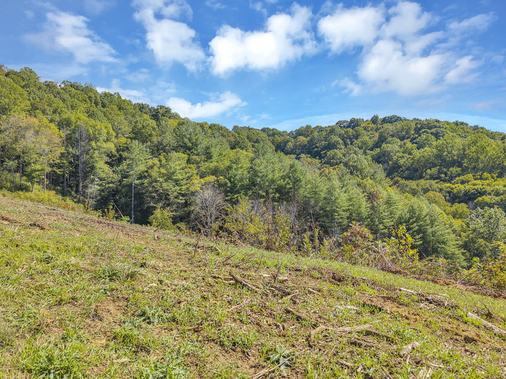 Lot 6