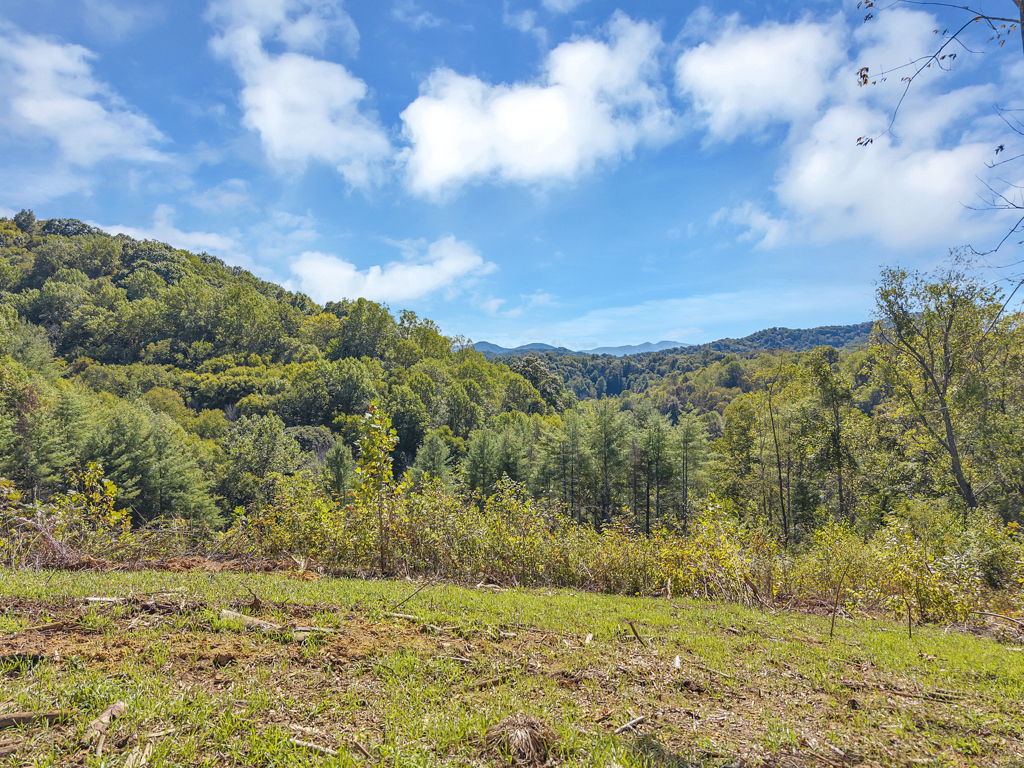 Lot 6