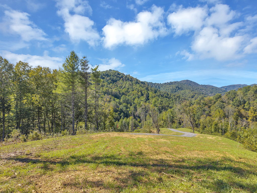 Lot 6