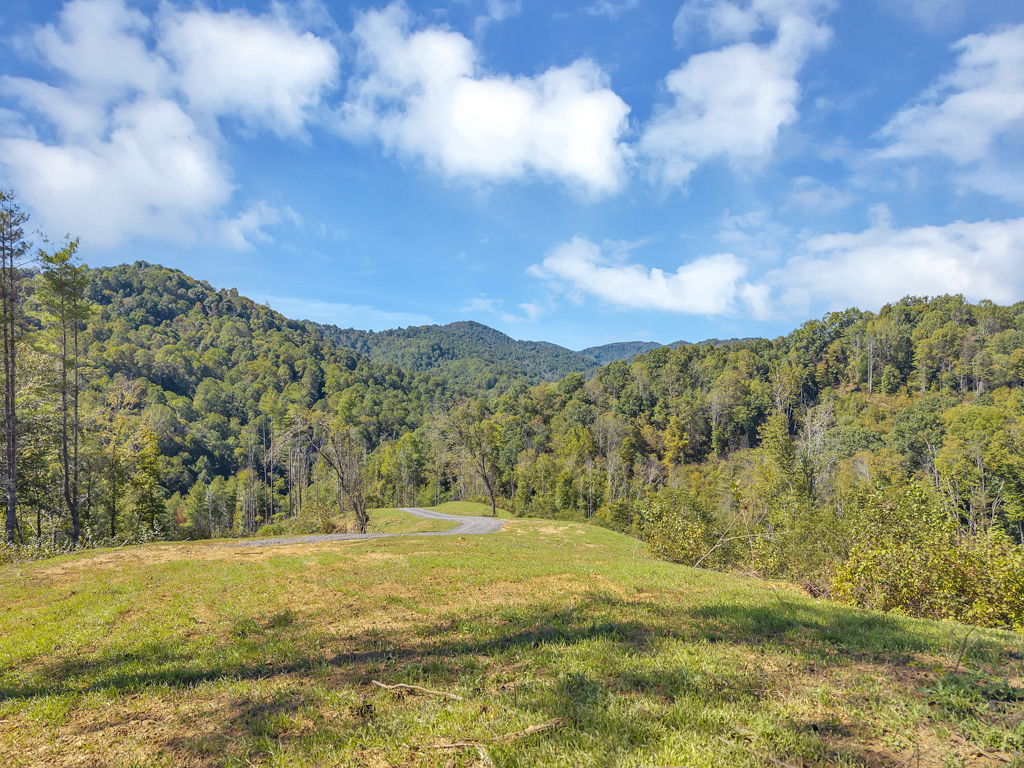 Lot 6
