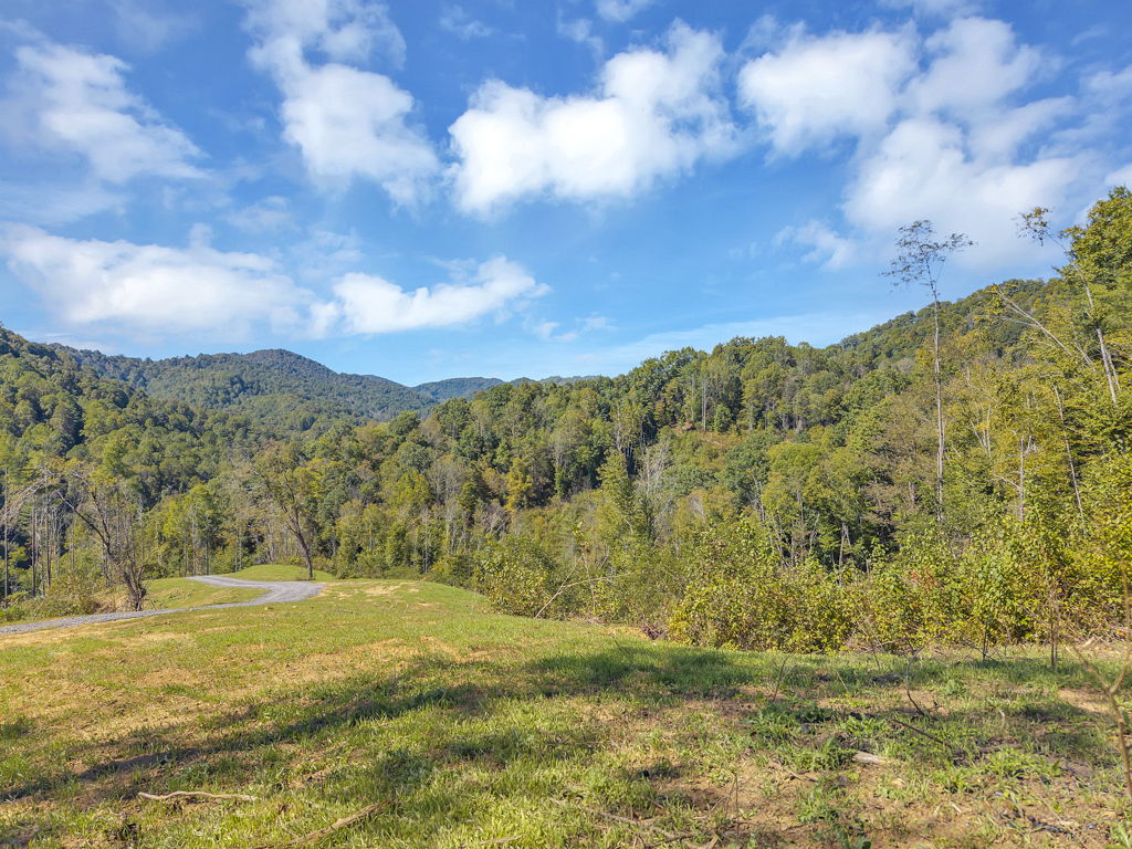 Lot 6