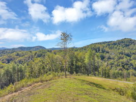 Lot 6