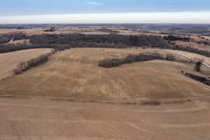 06-Aerial View