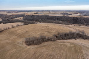 07-Aerial View