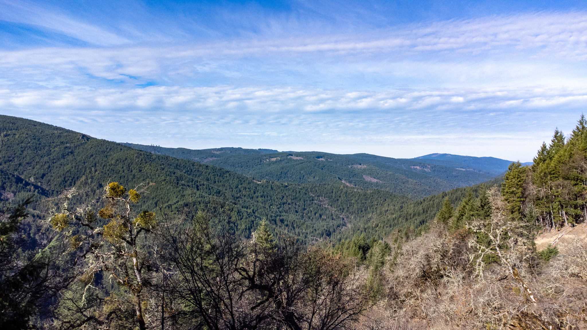 Score your Hunters Retreat and off Grid Homestead Now Sarah Wagner Photo