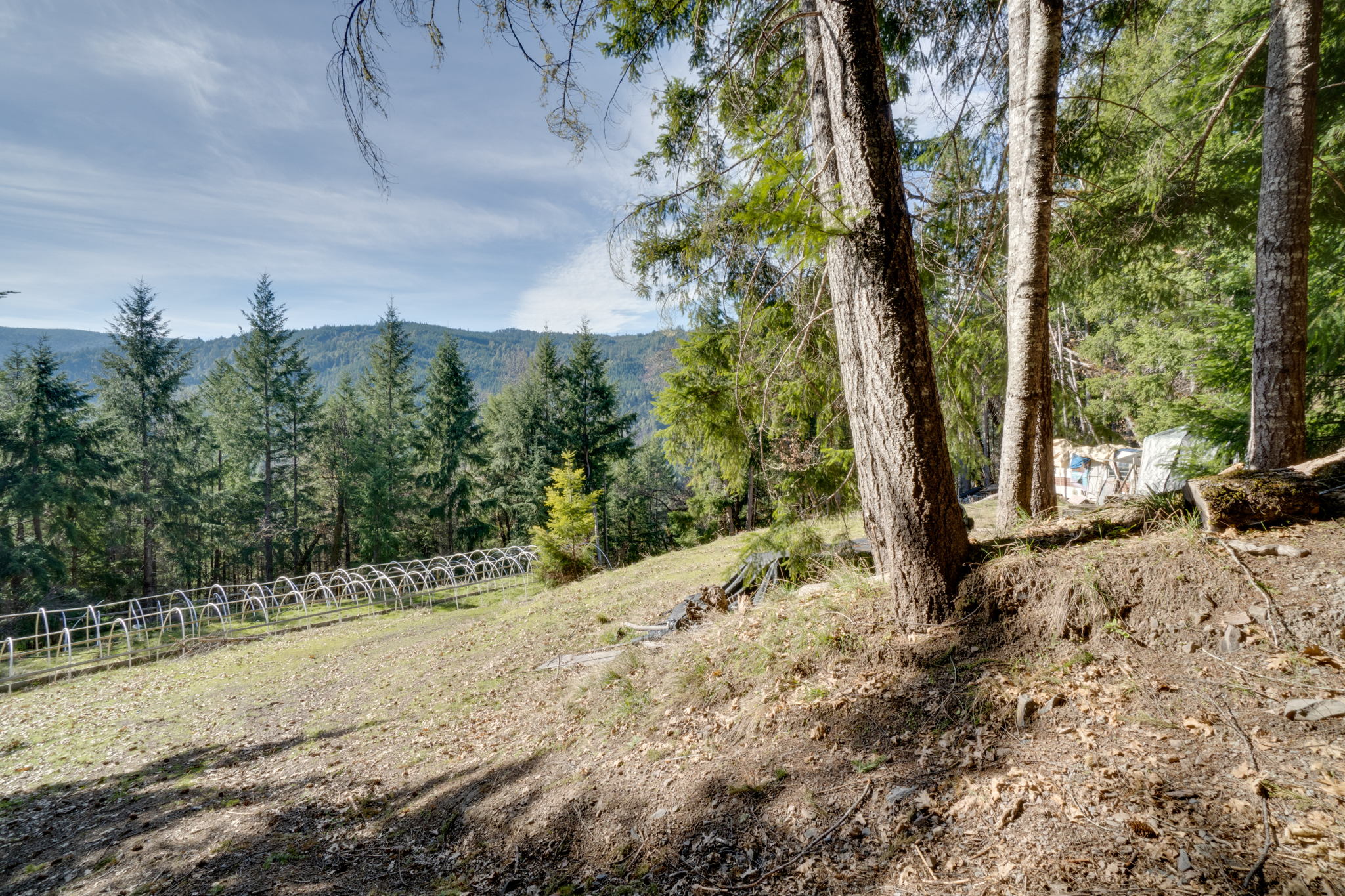 Score your Hunters Retreat and off Grid Homestead Now Sarah Wagner Photo