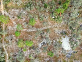 Treasure Island Rd-S1612-001.jpg