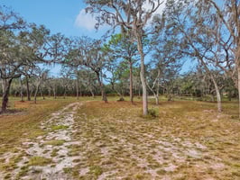 Treasure Island Rd-S1612-004.jpg