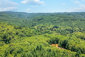  Photo 0
