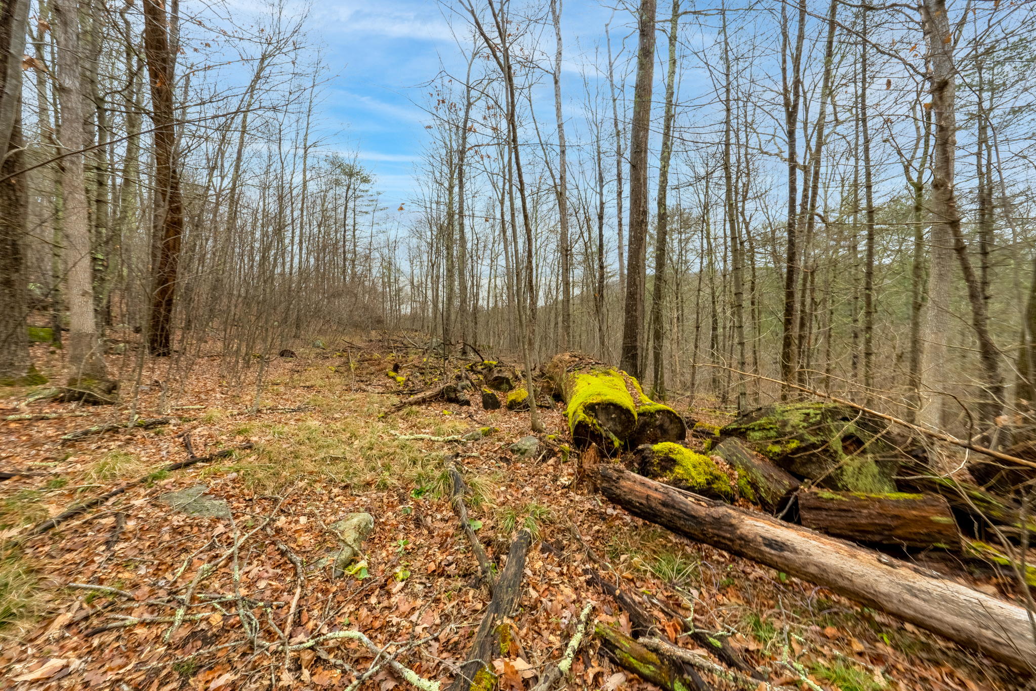 US-7, Sharon, CT, USA Photo 10