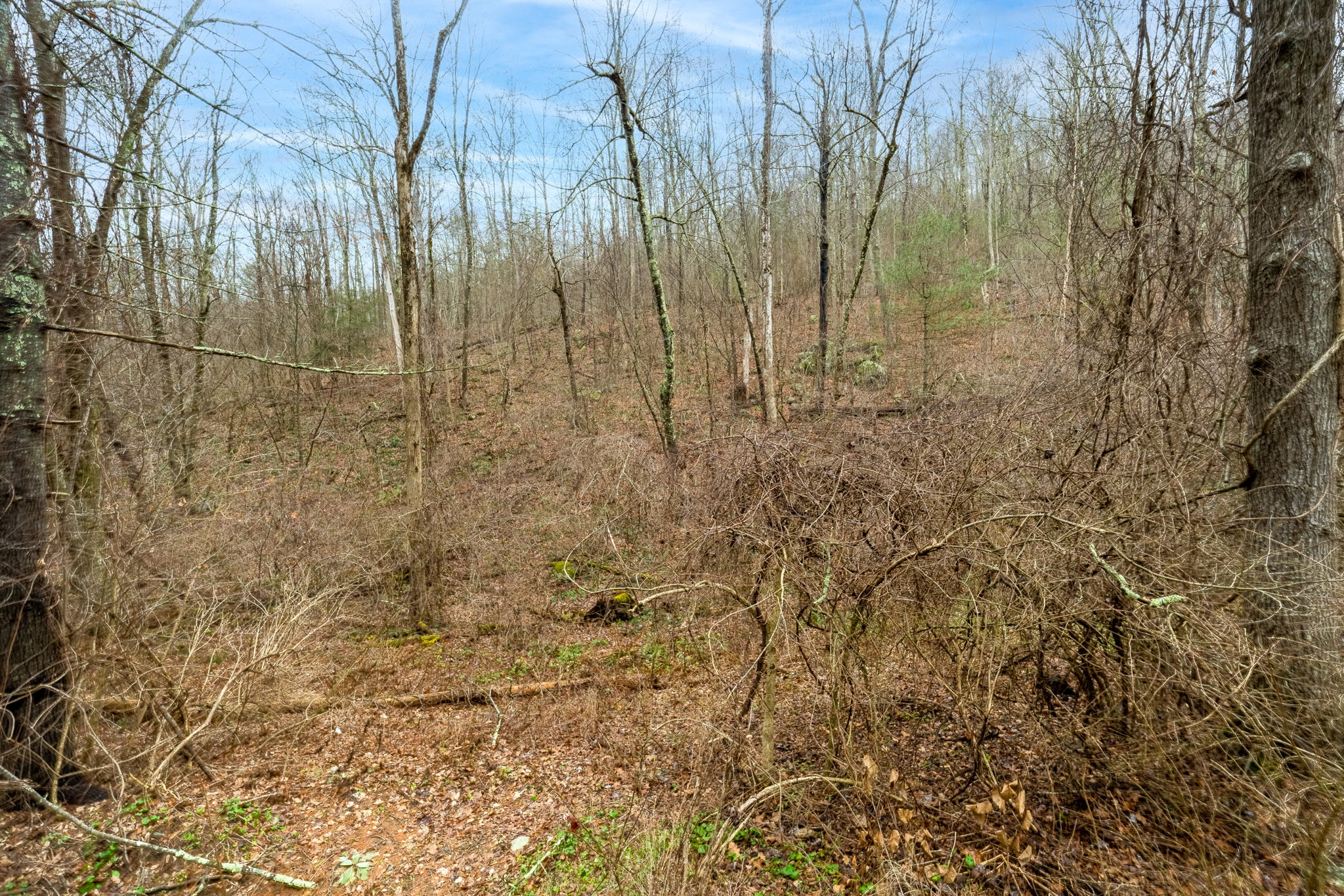 US-7, Sharon, CT, USA Photo 6