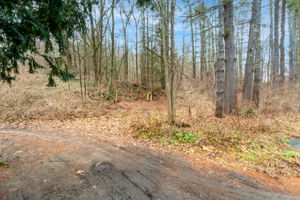 US-7, Sharon, CT, USA Photo 6