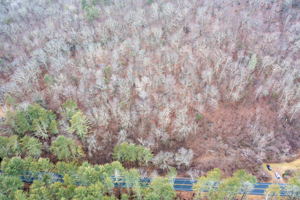 US-7, Sharon, CT, USA Photo 4