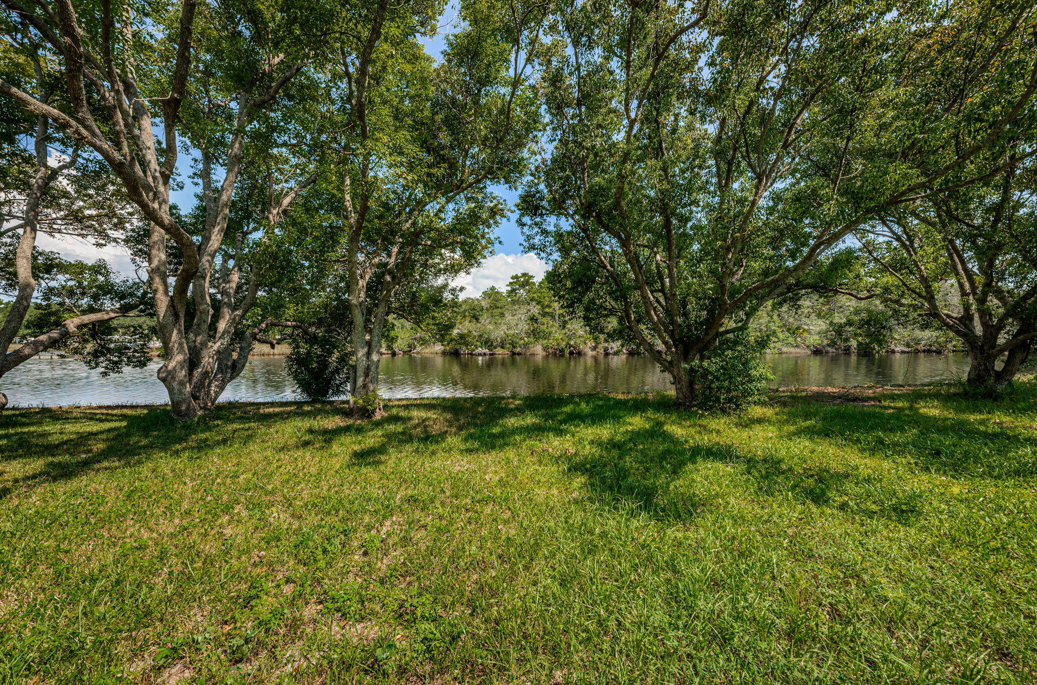 Vacant Lot5
