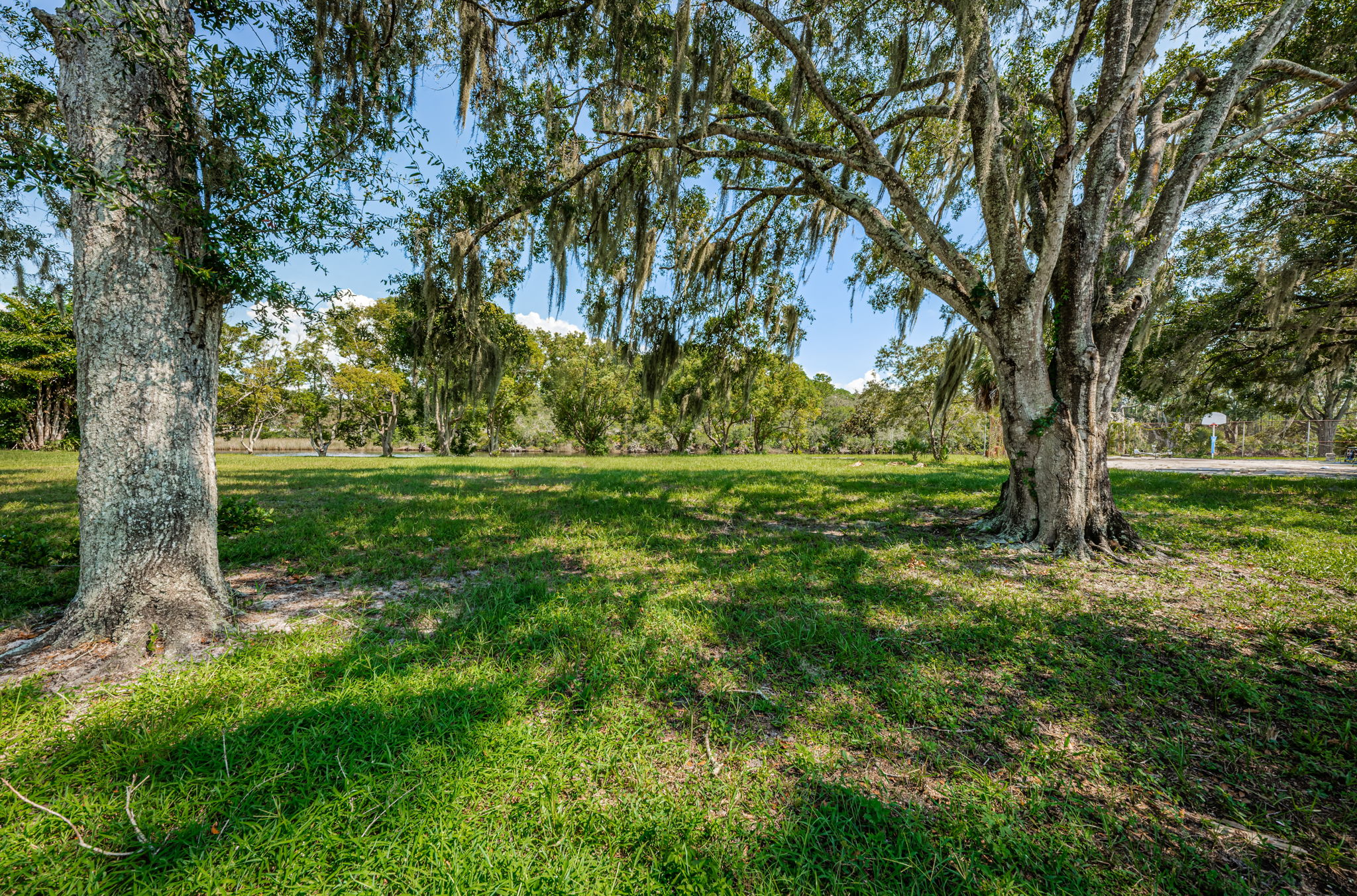 Vacant Lot1