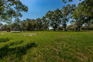 Vacant Lot10