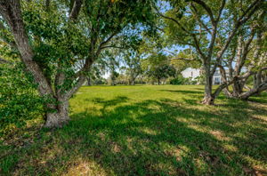 Vacant Lot9