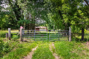  Photo 0