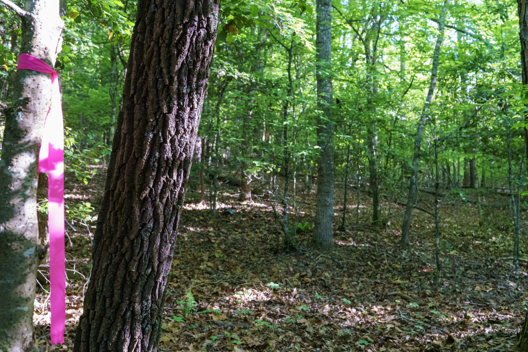  Photo 35