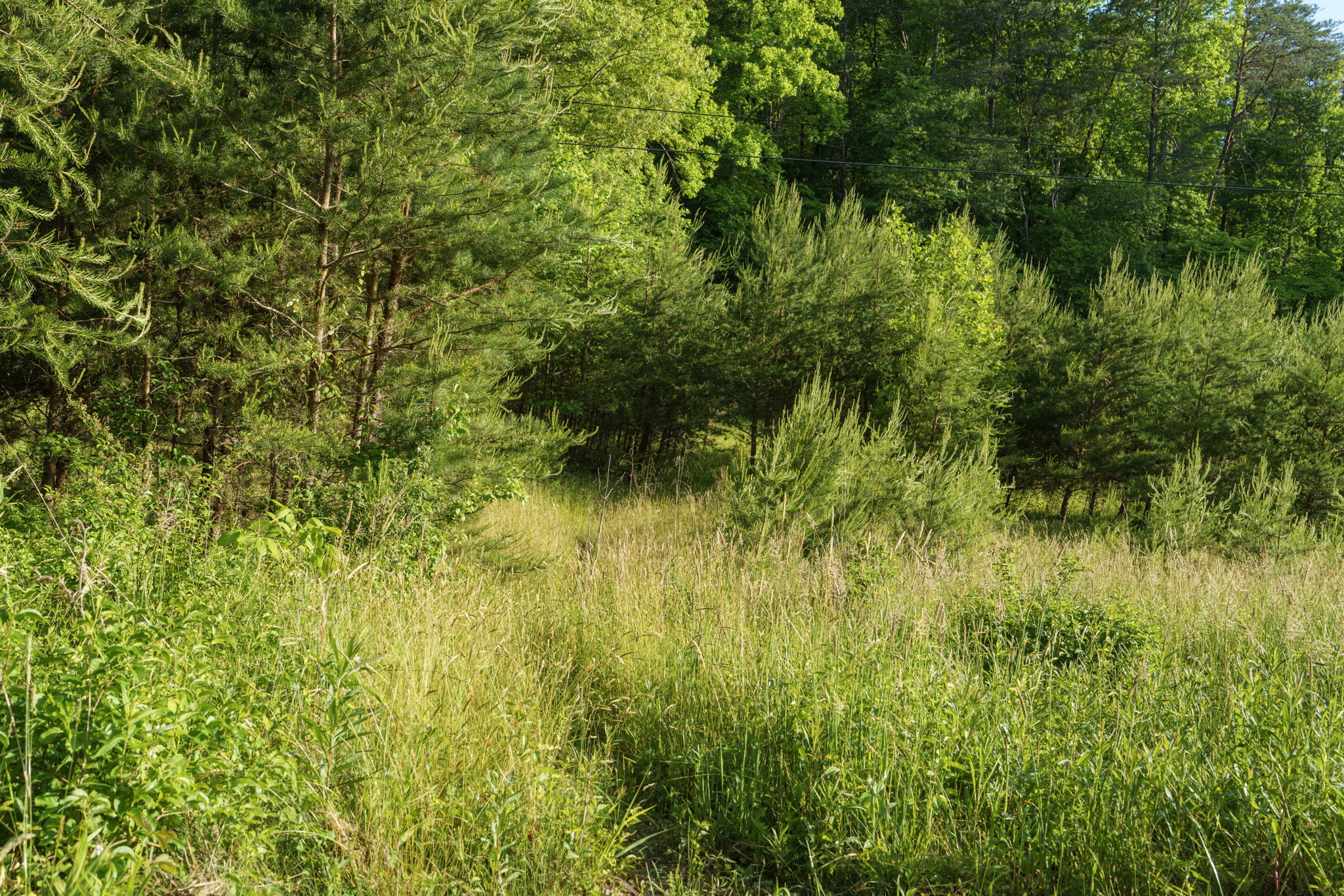  Photo 40