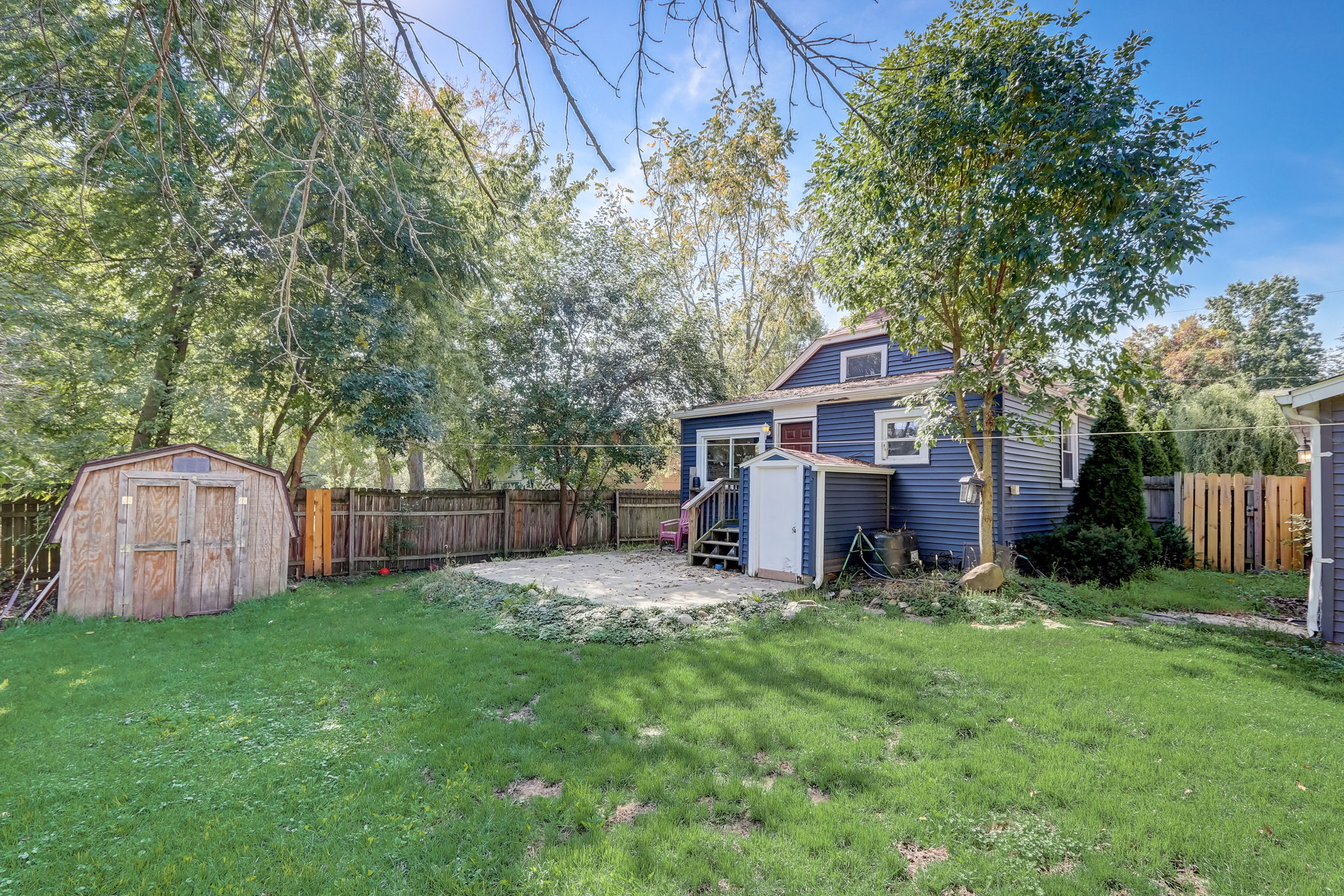 Crocus Rd-036