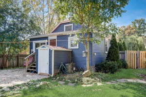 Crocus Rd-035