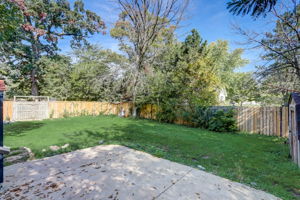 Crocus Rd-038