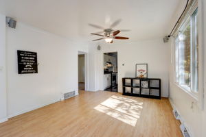Crocus Rd-014