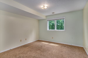 Lower Level - Bedroom 3