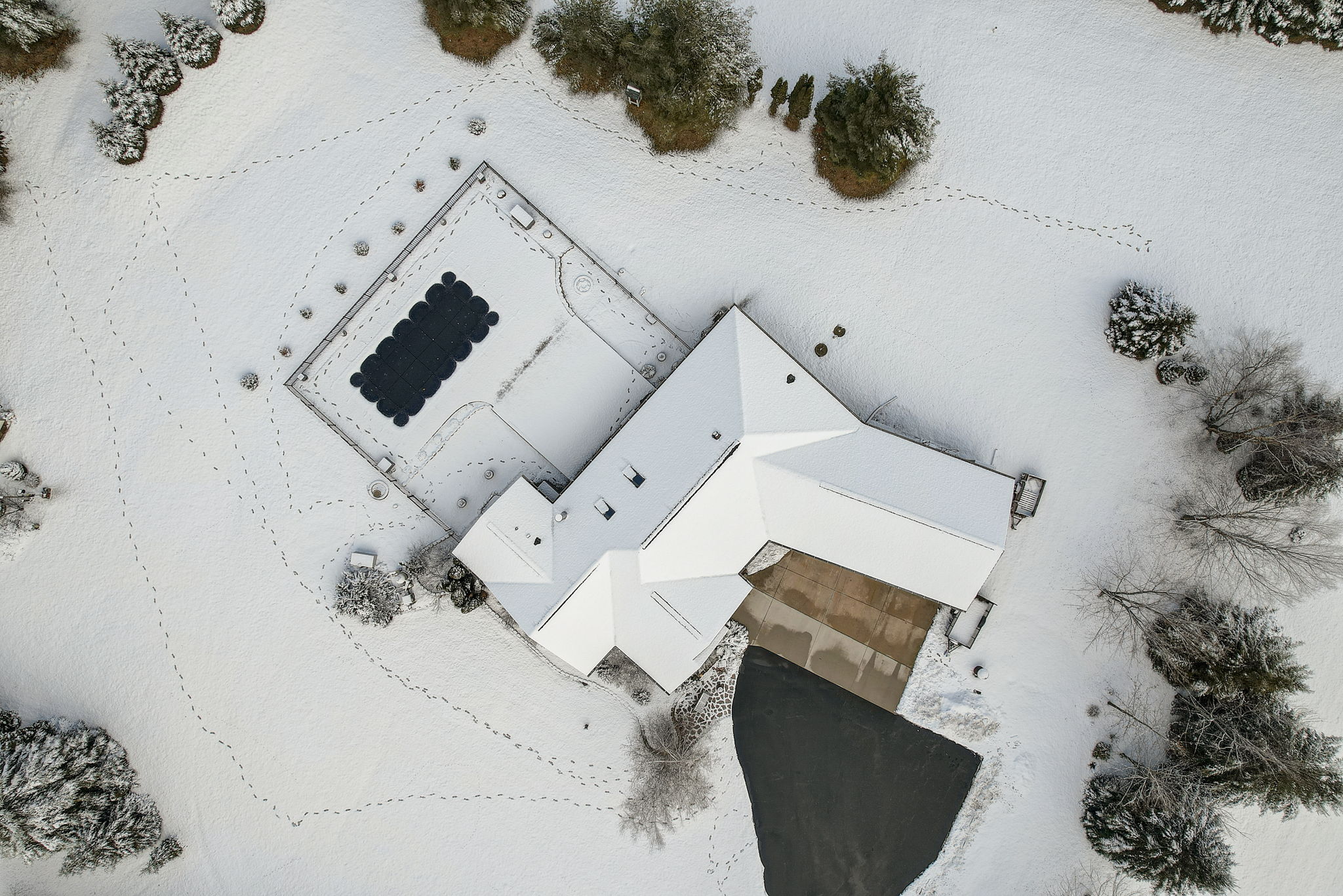 N Pole Ln-064