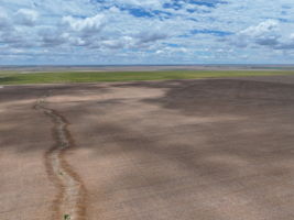  Photo 30