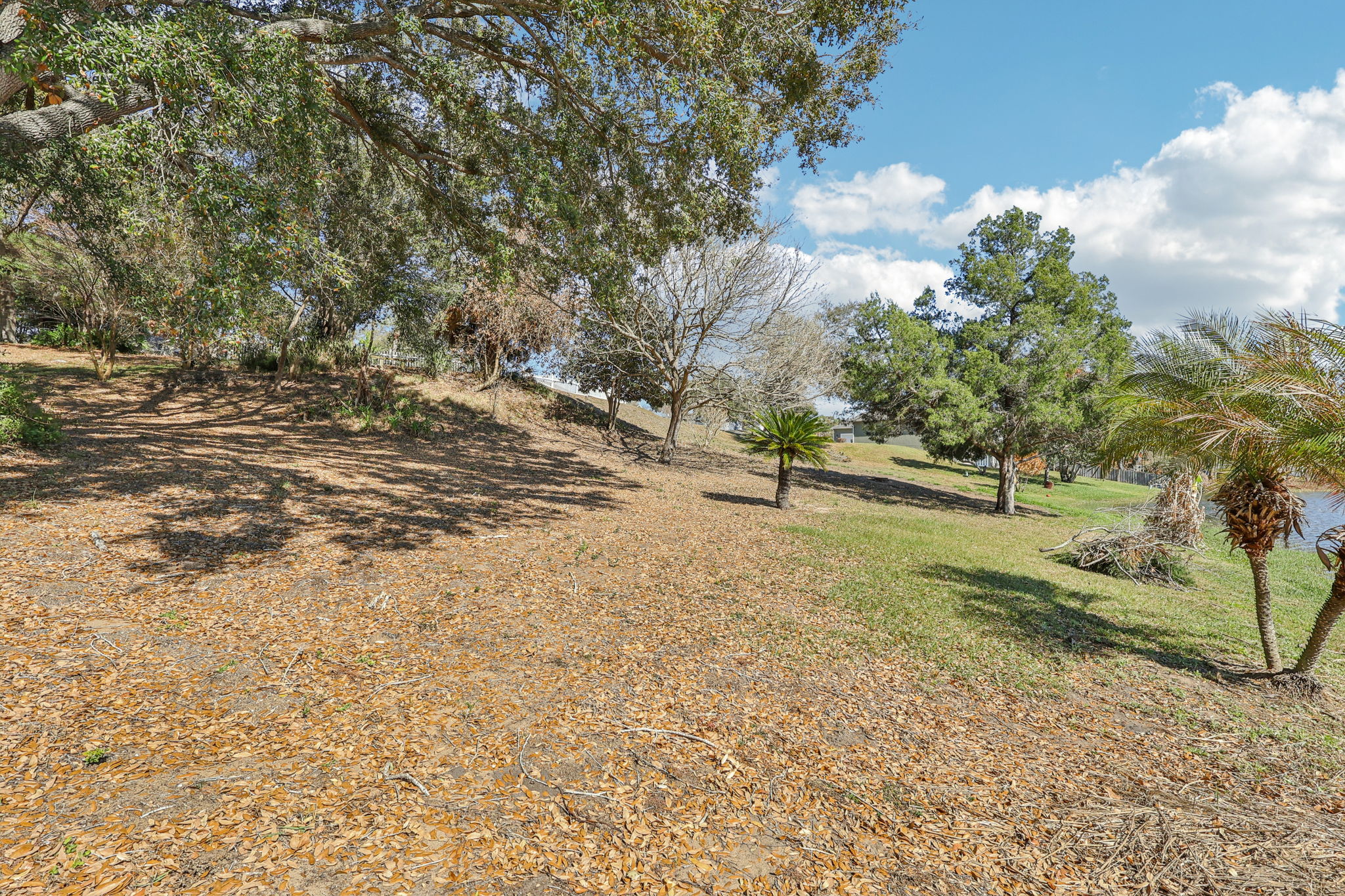 Westmoreland Ave-S2602-009