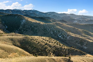  Photo 48