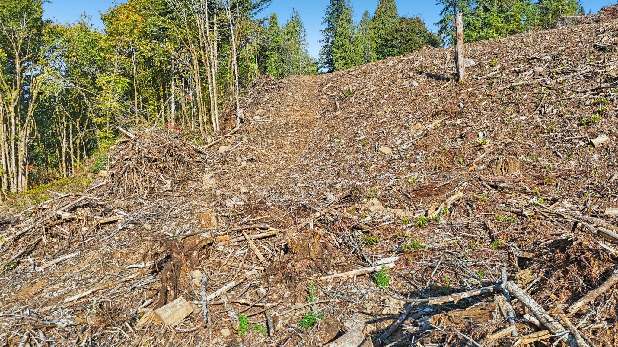 Whitewater Rd-S1810-012.jpg