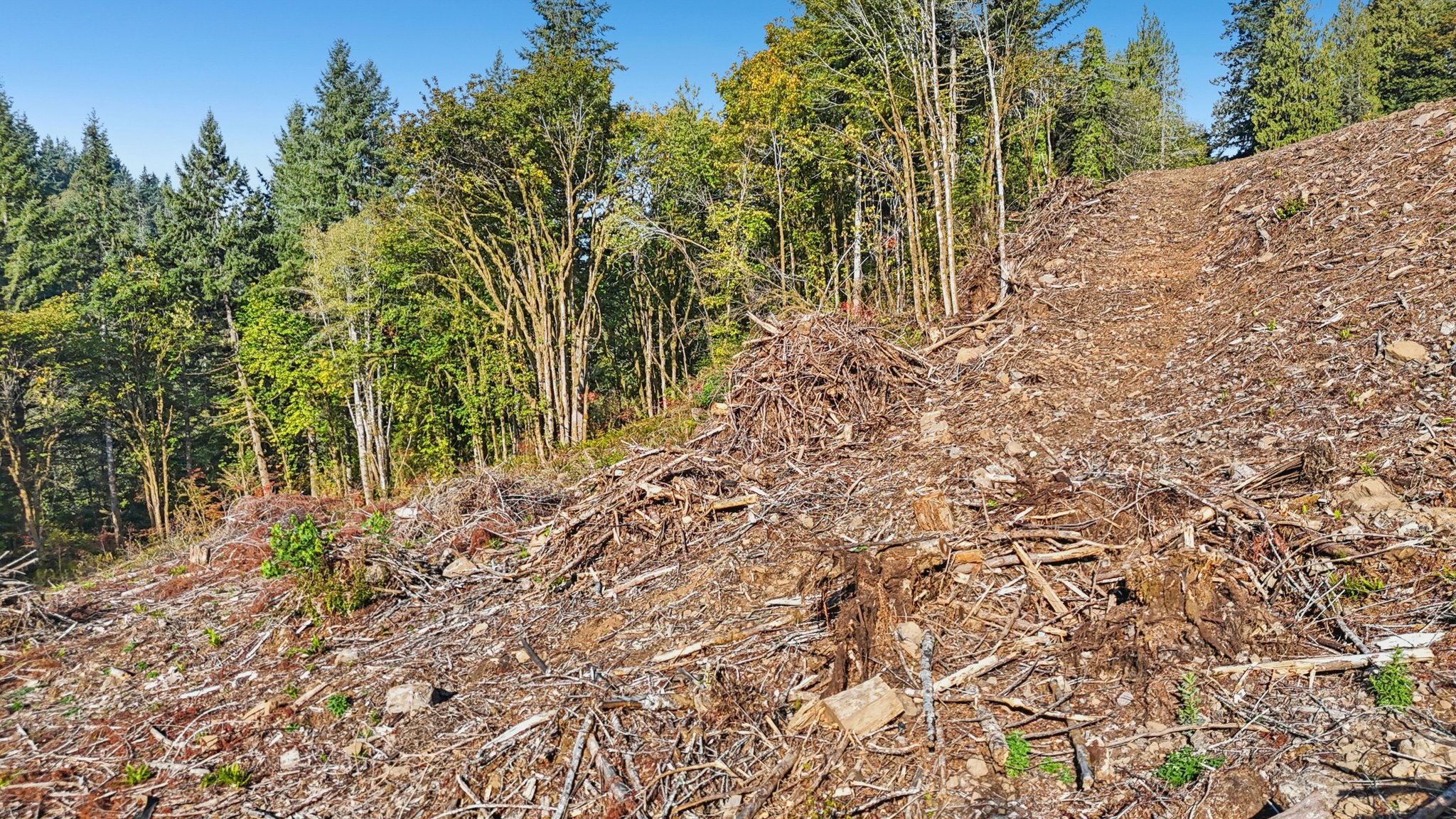 Whitewater Rd-S1810-013.jpg