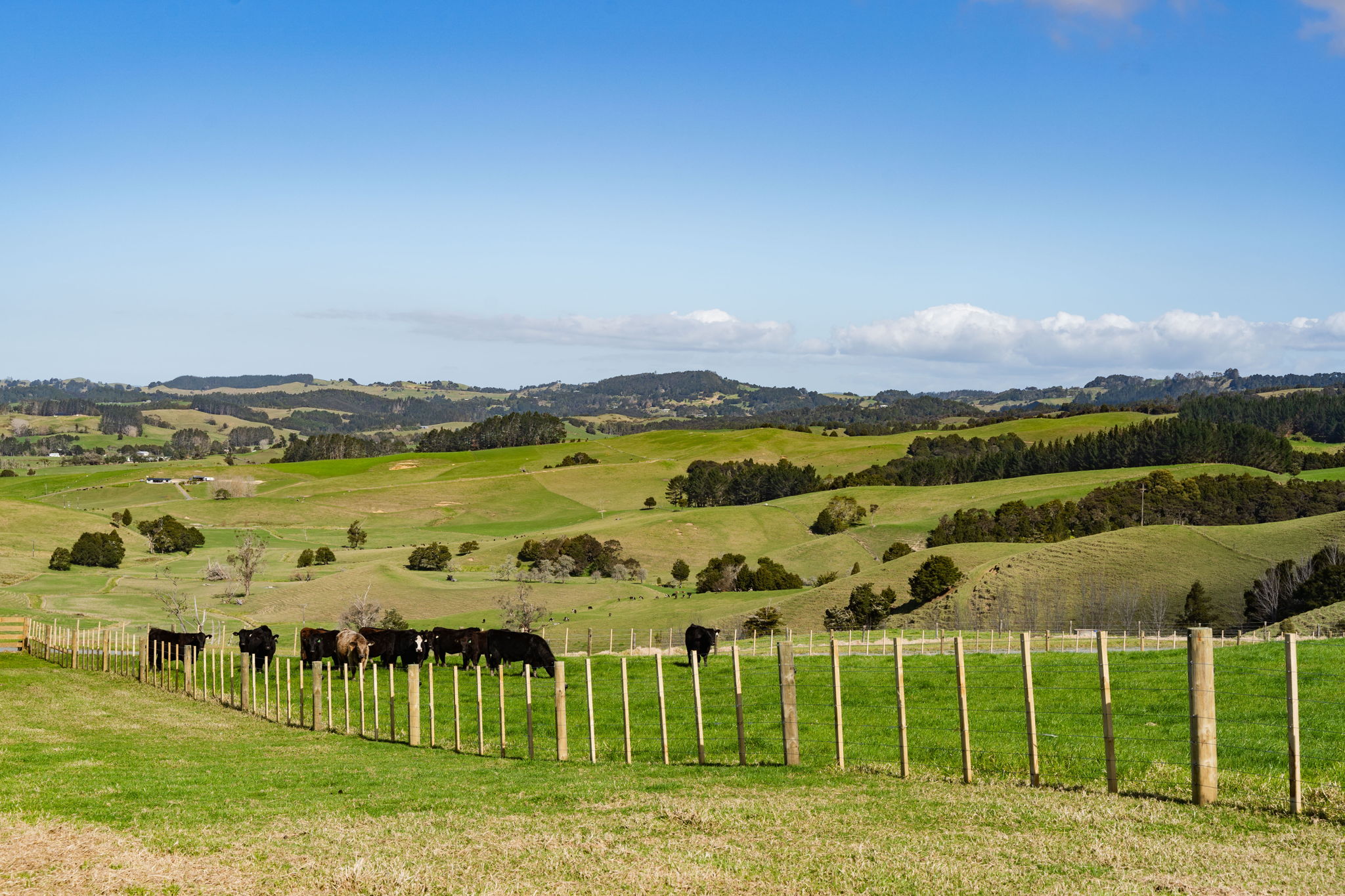 Whittle Road - Lots-4