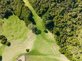 Whittle Road - Lots-30