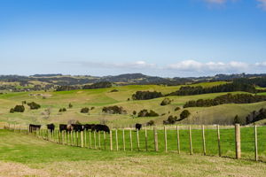 Whittle Road - Lots-4