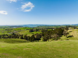 Whittle Road - Lots-5